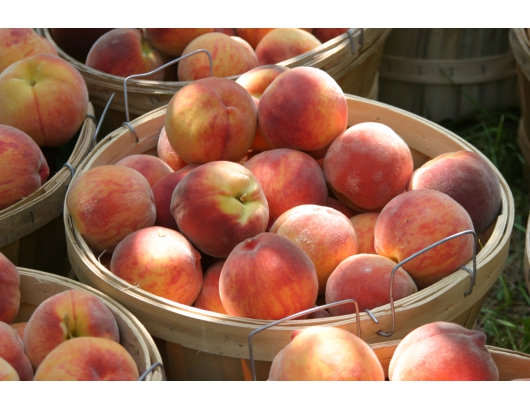 Peach prices sky high after heavy losses in Southeast US.