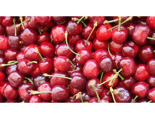 Chilean cherries smash export record