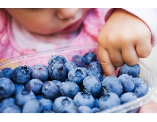 Blueberries may help improve attention in children, says study